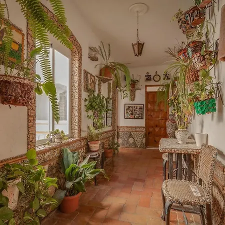 Appartamento Rustico B On Calle De La Luz In Old